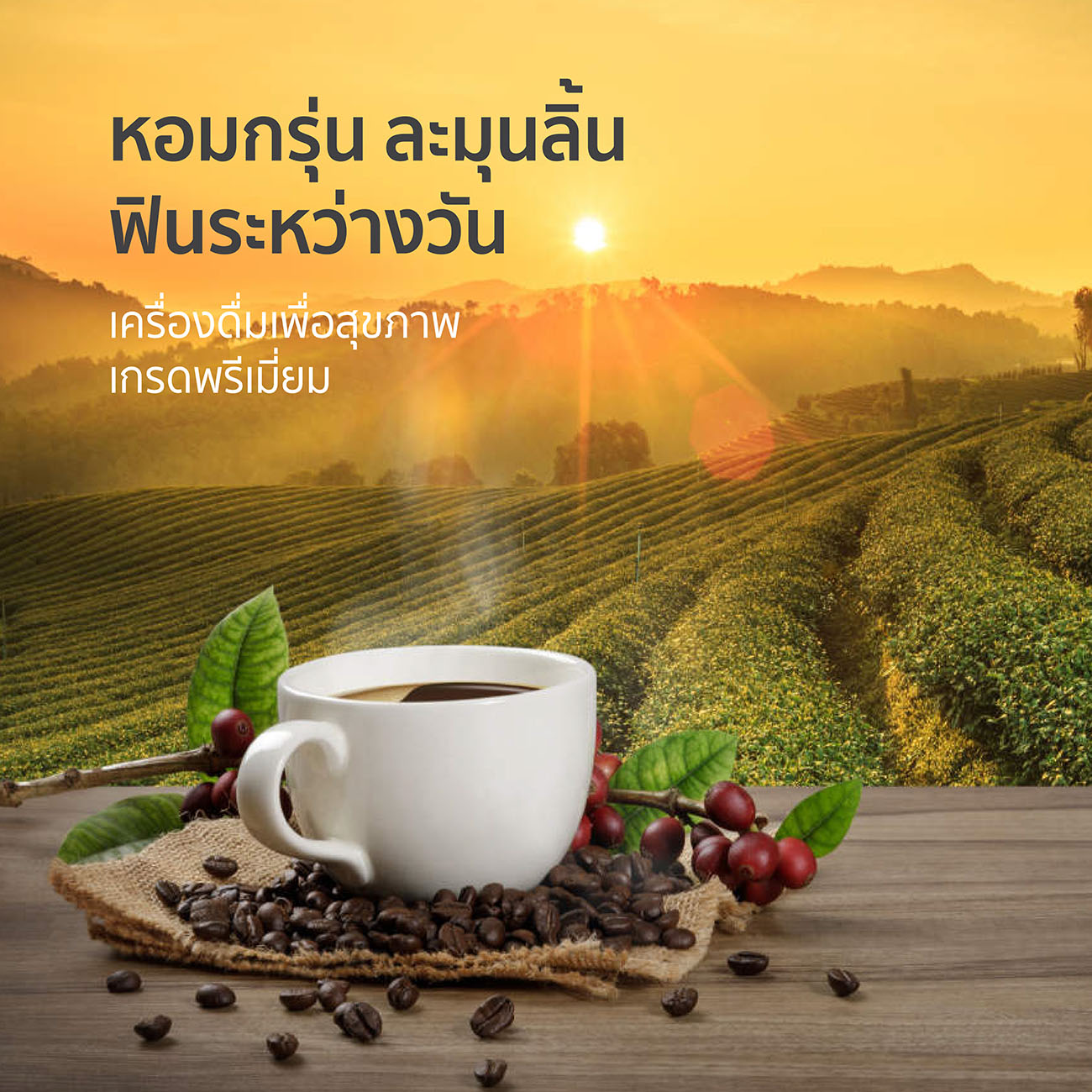 เครื่องดื่มเพื่อสุขภาพเกรดพรีเมี่ยม