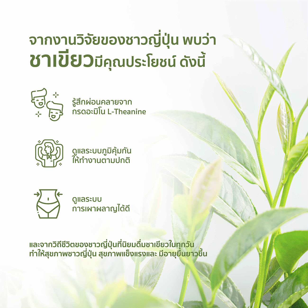เครื่องดื่มเพื่อสุขภาพเกรดพรีเมี่ยม