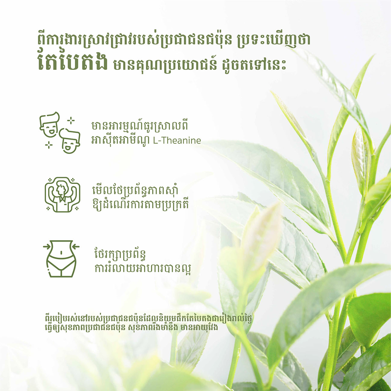 เครื่องดื่มเพื่อสุขภาพเกรดพรีเมี่ยม
